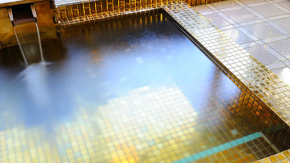 Kamasaki Onsen Suzukiya Ryokan