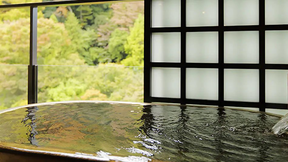 Tsuki no Yado Sara (Kyoritsu Resort)