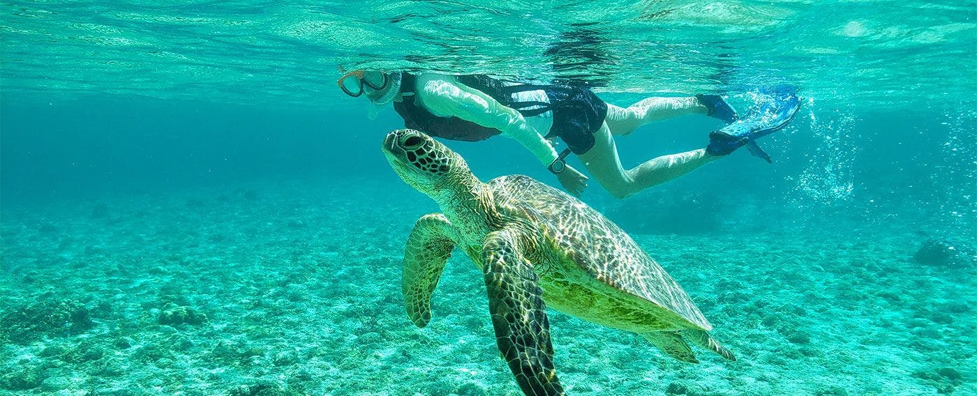 豊富なマリンアクティビティで宮古ブルーをお愉しみいただけます。