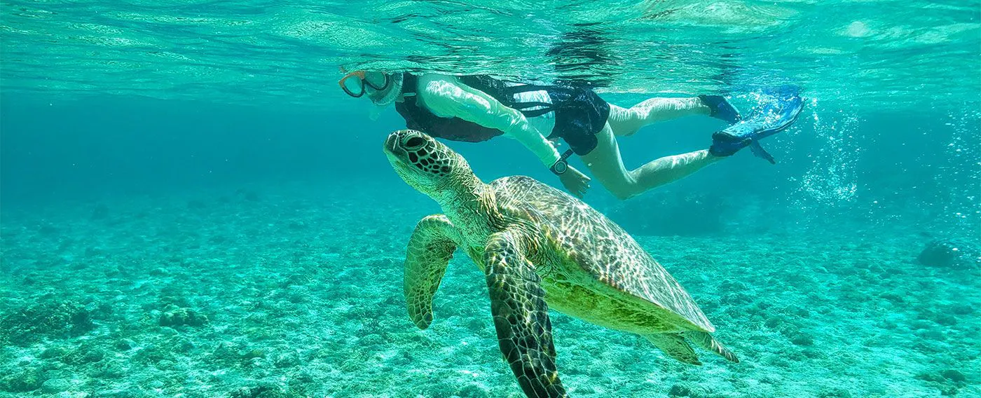 豊富なマリンアクティビティで宮古ブルーをお愉しみいただけます。