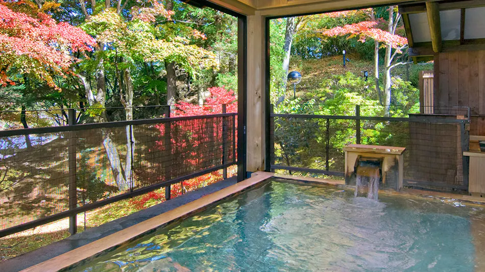 Nikko Hoshi no Yado
