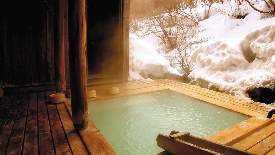 Takayu Onsen Ryokan Higenoie