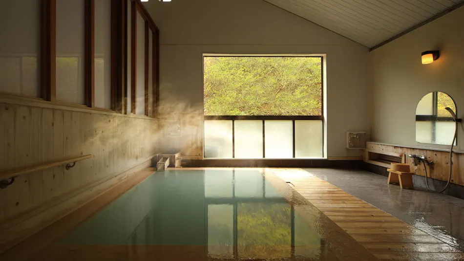 Takayu Onsen Ryokan Higenoie