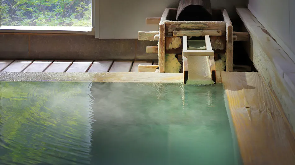 Takayu Onsen Ryokan Higenoie