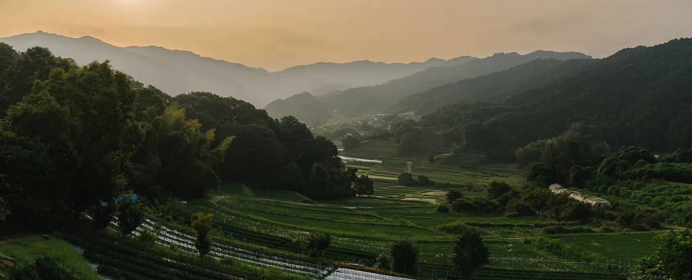 อาสุกะมูระ