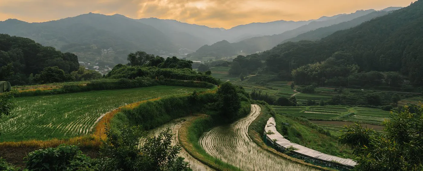 อาสุกะมูระ