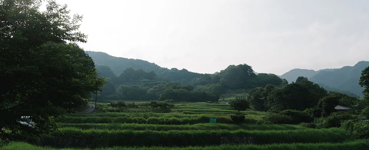 อาสุกะมูระ