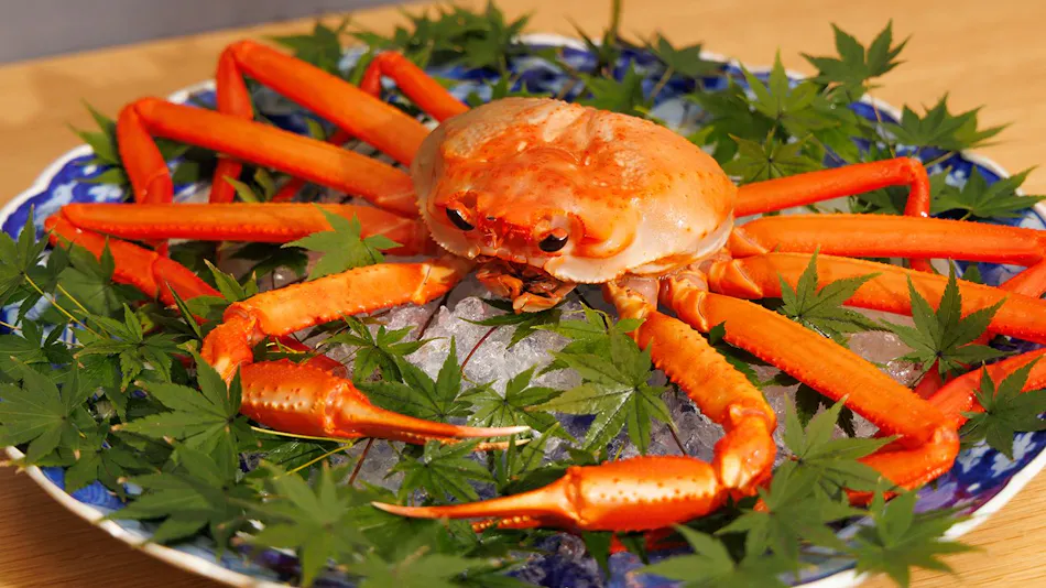 AKAMA Toyama