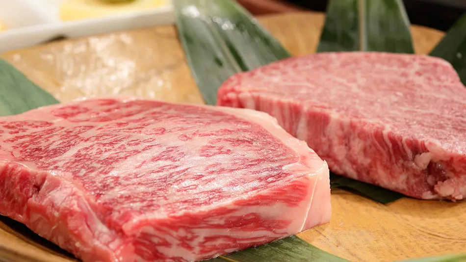 Mizu no Michi Kaze no Michi Yugashima Tatsuta