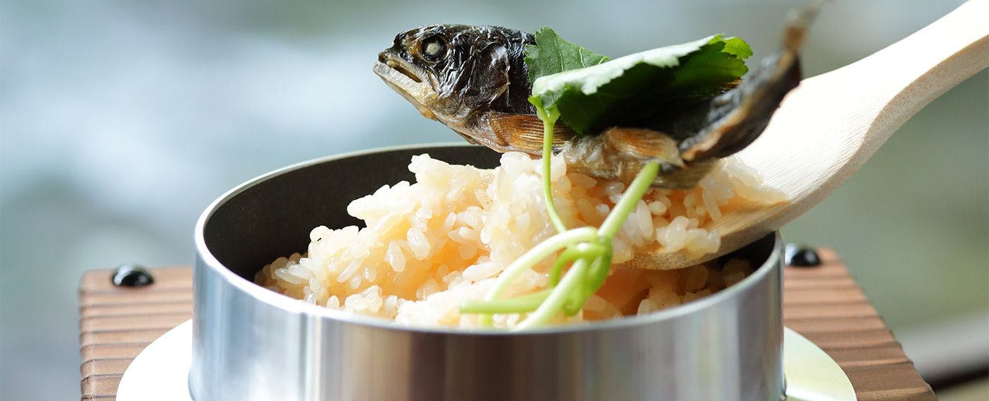 水のみち　風のみち　湯ヶ島　たつた