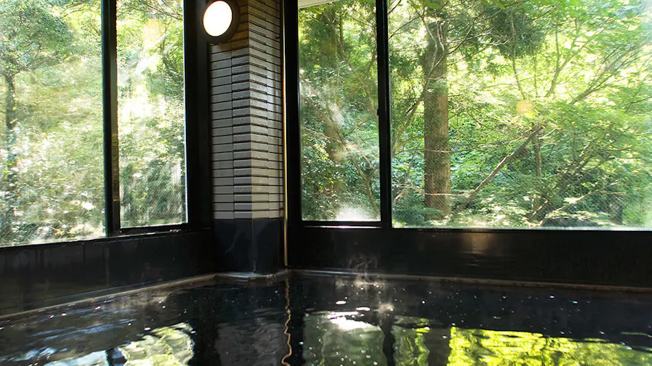 Kanazawa Fukatani Onsen Motoyu Ishiya - A Secluded Inn with a Noh Stage