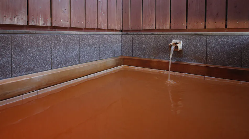 Arima Onsen Miyukisou Hanamusubi