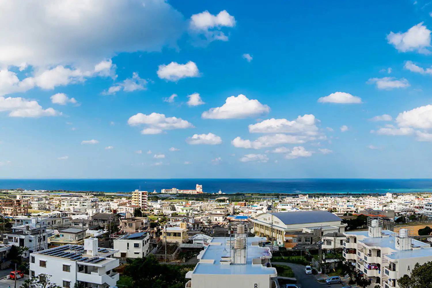 View