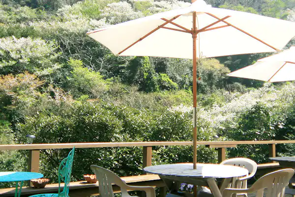 ระเบียงชมวิว