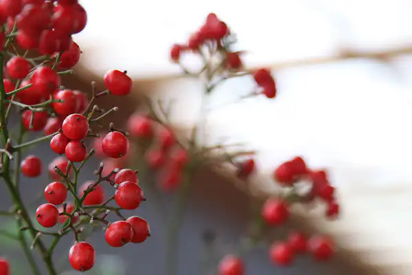 ภาพภายในอาคาร 2