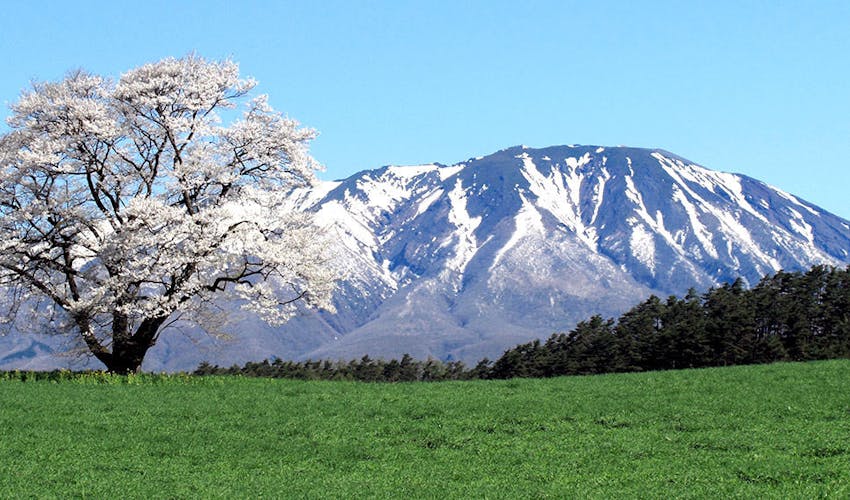 ペンション さんりんしゃ の宿泊プラン 宿泊予約は 一休 Com キラリト