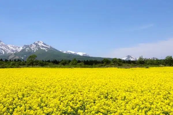 ทัศนียภาพโดยรอบ