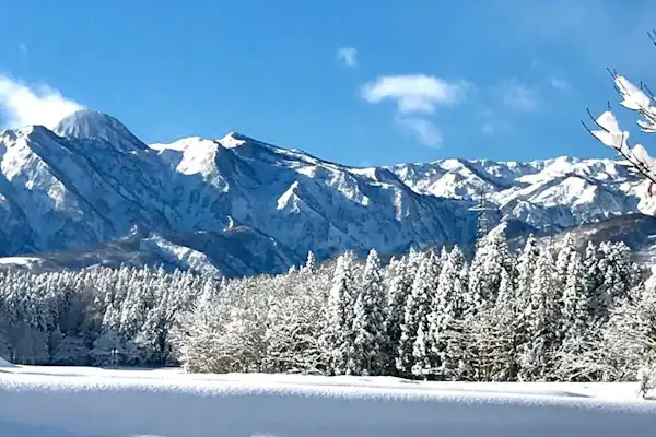 ทัศนียภาพโดยรอบ