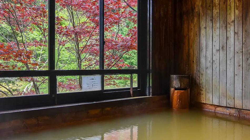 Mountain Inn Meiji Onsen Mishaka no Yu