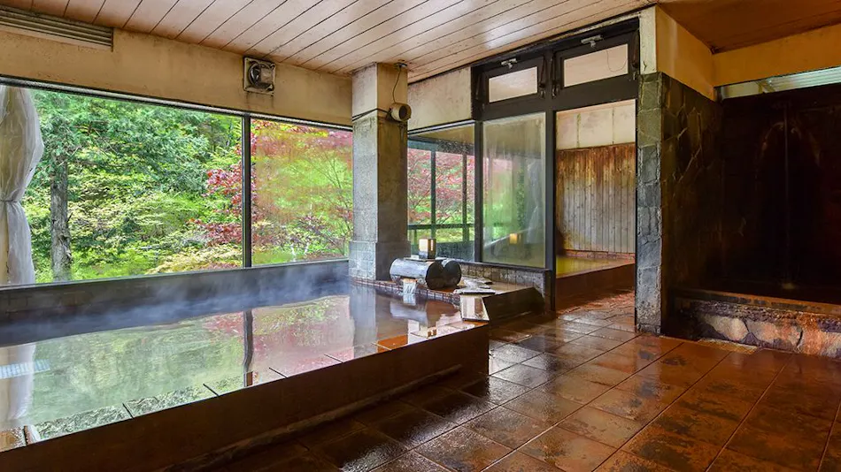 Mountain Inn Meiji Onsen Mishaka no Yu