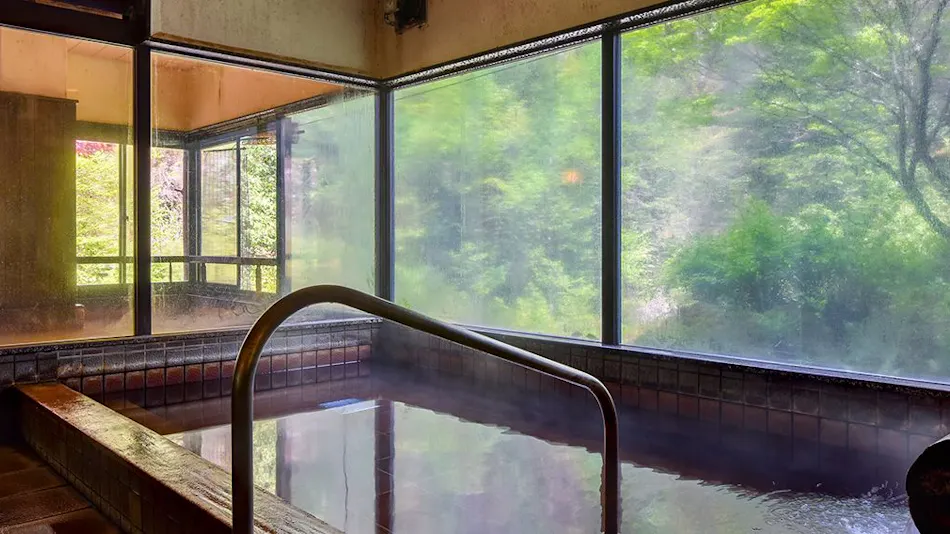 Mountain Inn Meiji Onsen Mishaka no Yu