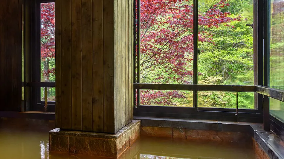 Mountain Inn Meiji Onsen Mishaka no Yu
