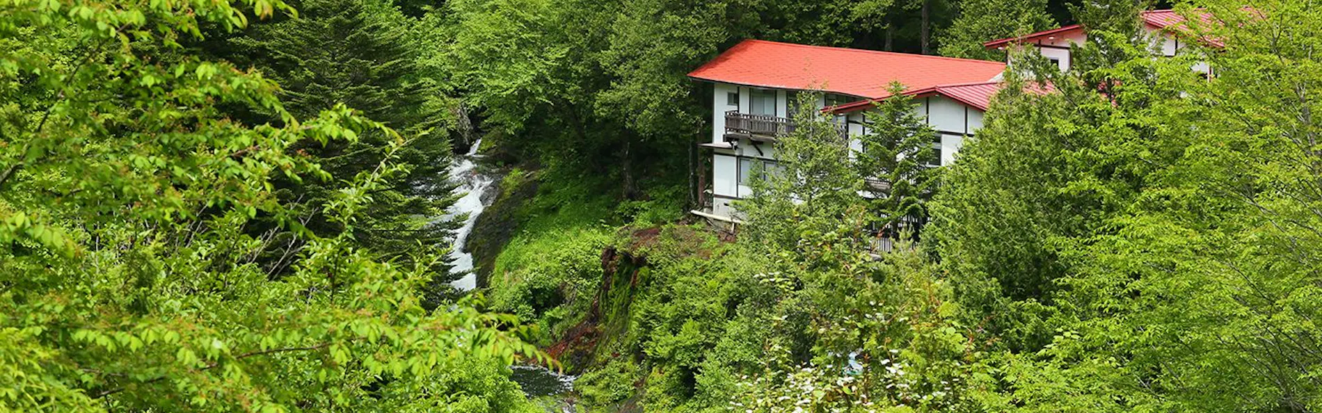 山の宿 明治温泉 御射鹿の湯