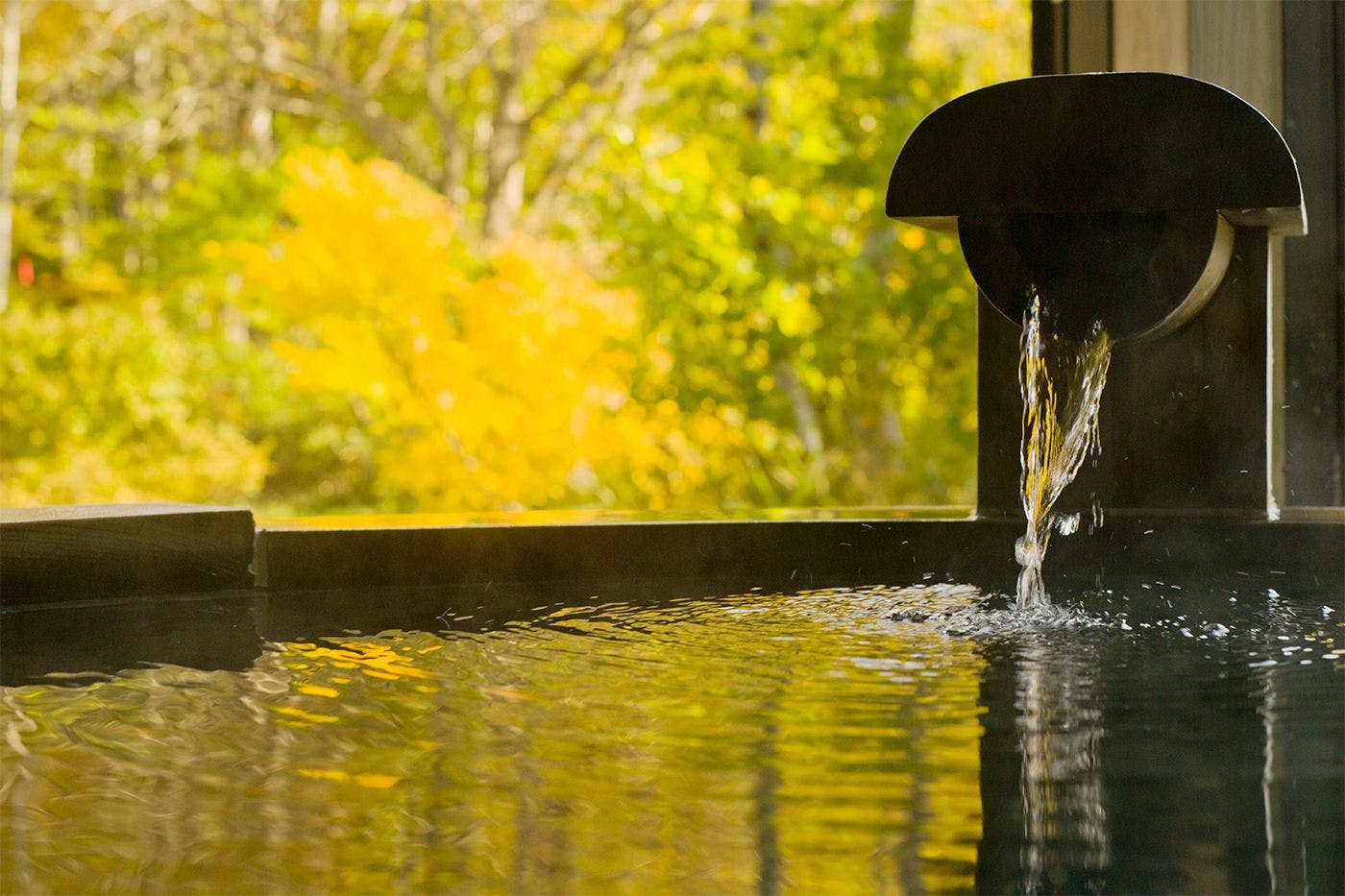 ทิวทัศน์