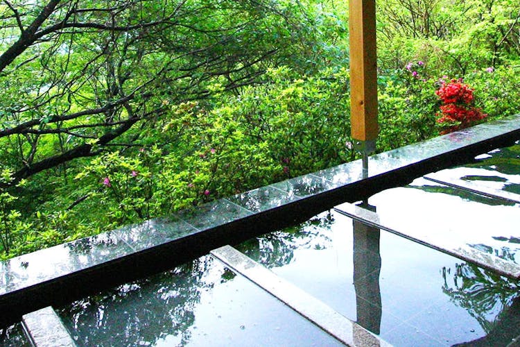 森の絶景露天風呂 熱海 森の温泉ホテル 宿泊予約なら Yahoo トラベル 森の絶景露天風呂 熱海 森の温泉ホテル 宿泊予約なら Yahoo トラベル