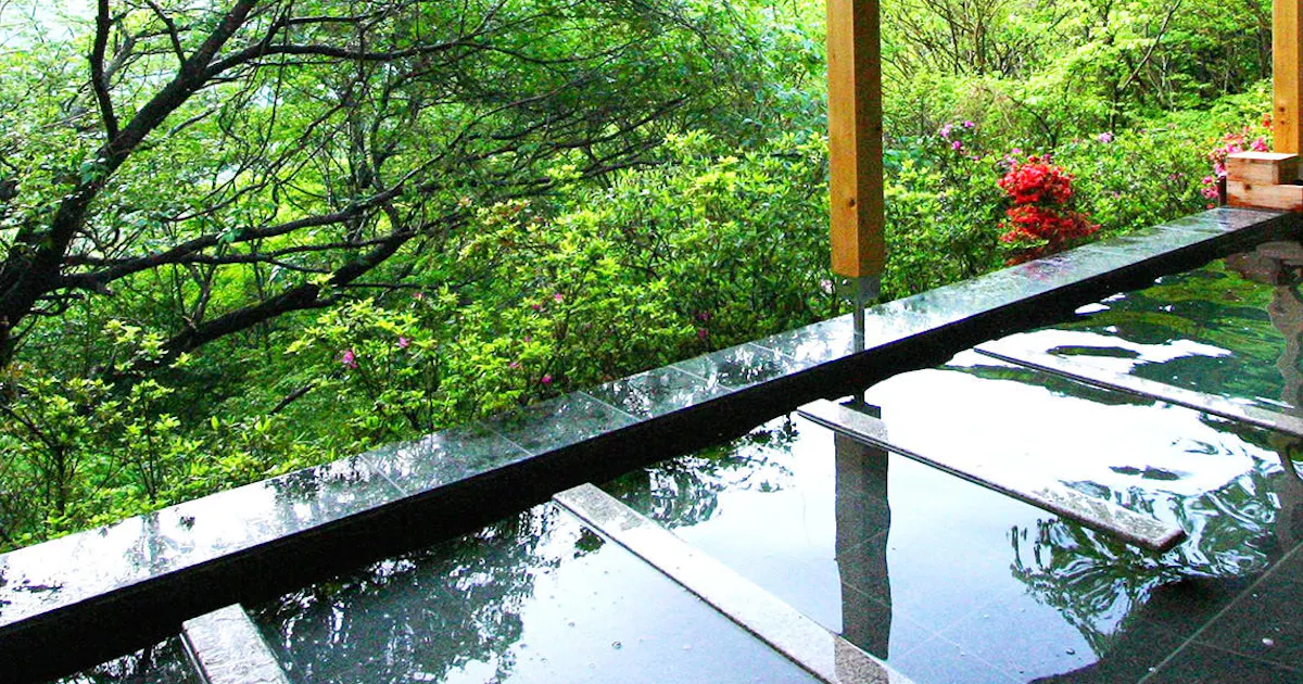 森の絶景露天風呂 熱海 森の温泉ホテル の空室状況を確認する 宿泊予約は 一休 Com 森の絶景露天風呂 熱海 森の温泉ホテル の空室状況を確認する 宿泊予約は 一休 Com