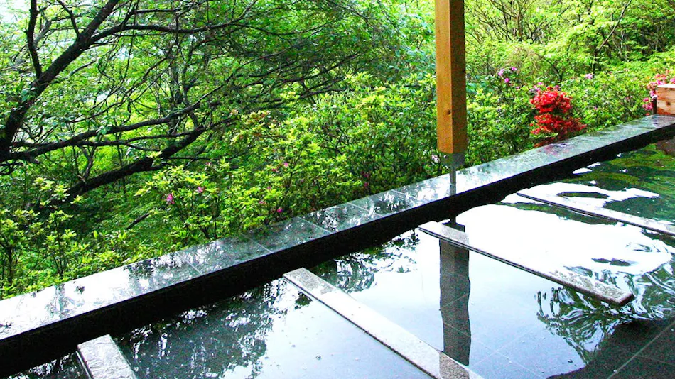 Livemax Resort Atami Forest