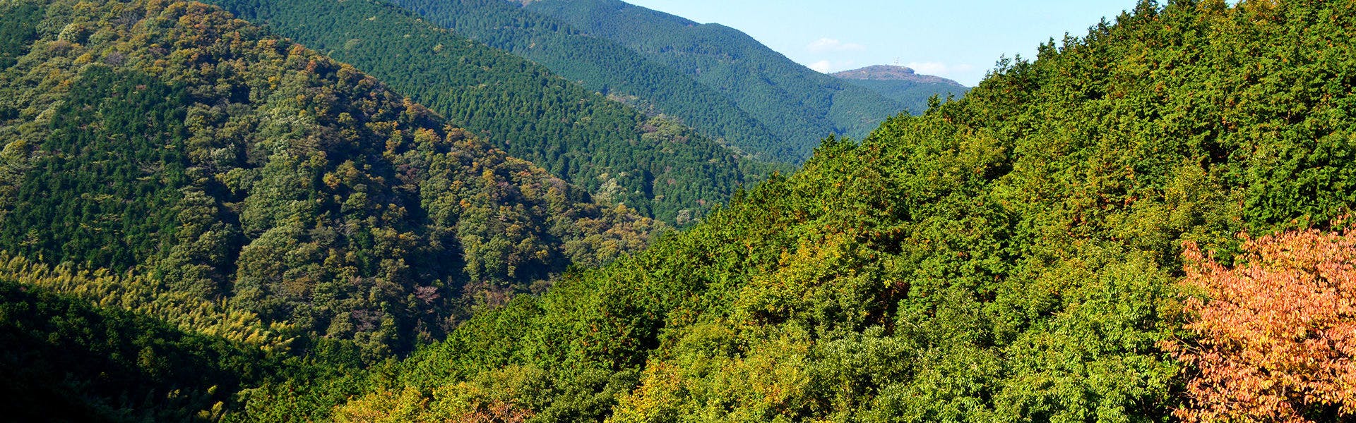 Livemax Resort Atami Forest