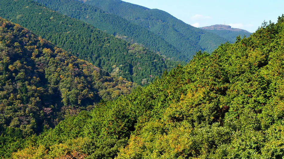 Livemax Resort Atami Forest