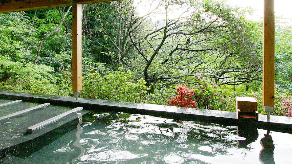 Livemax Resort Atami Forest