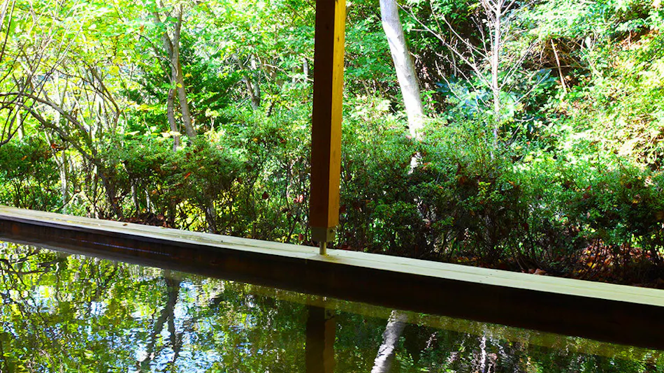 Livemax Resort Atami Forest