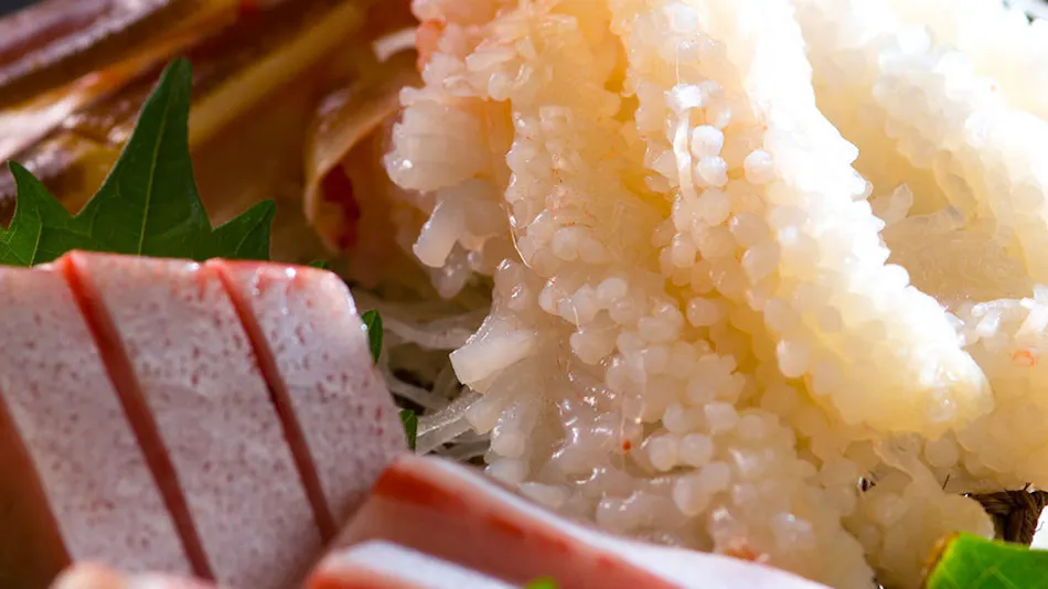 Yamashiro Onsen Yoshidaya Sannoukaku