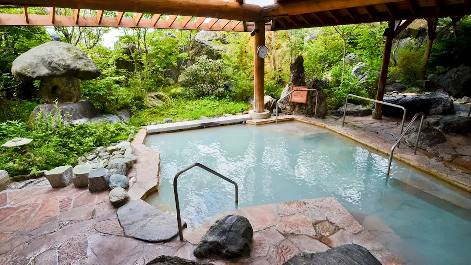 Hotel Sun Valley Nasu