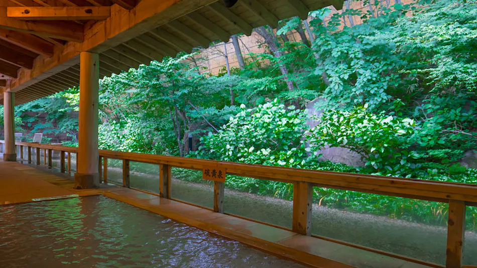 Hotel Sun Valley Nasu
