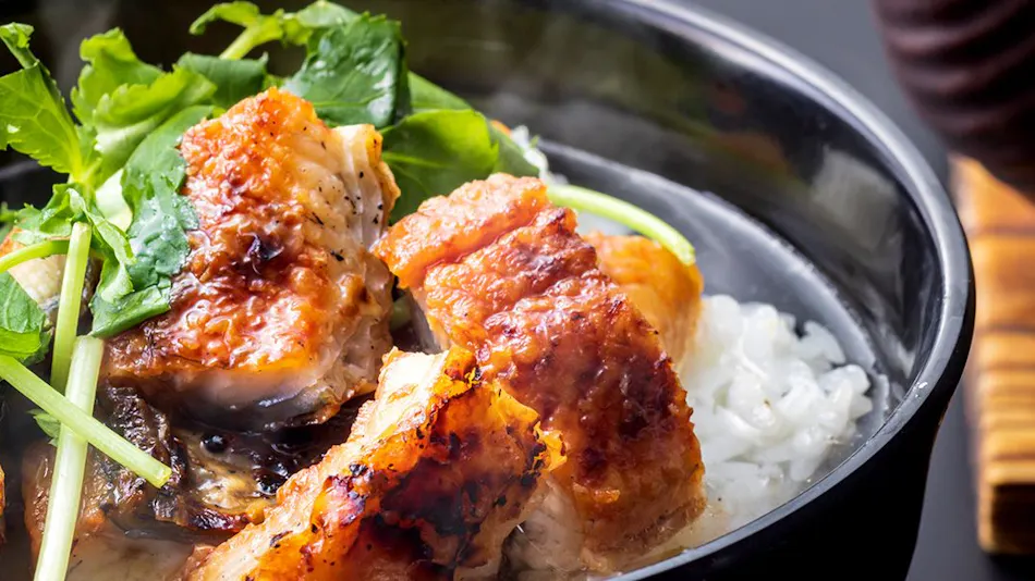 Hotel Green Plaza Hamanako