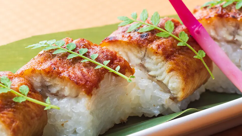 Hotel Green Plaza Hamanako