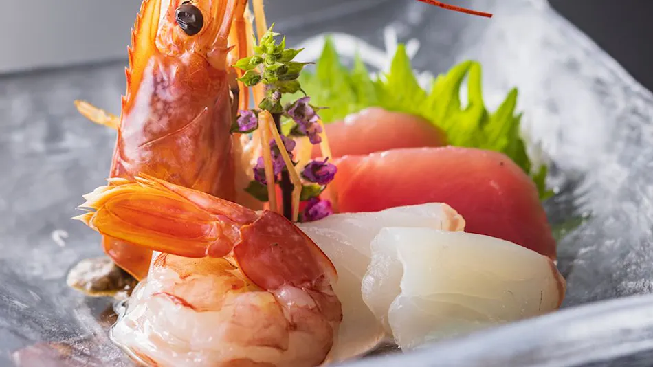 Hotel Green Plaza Hamanako