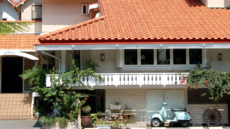 Seagull - Dog Owners' Retreat (Dogs Required)