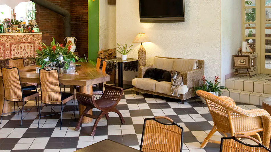 Seagull - Dog Owners' Retreat (Dogs Required)