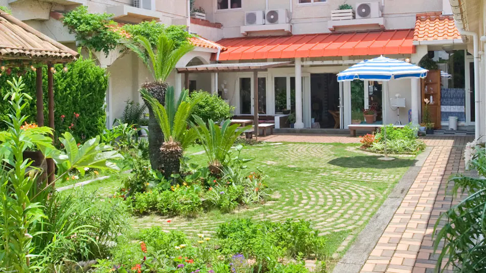 Seagull - Dog Owners' Retreat (Dogs Required)