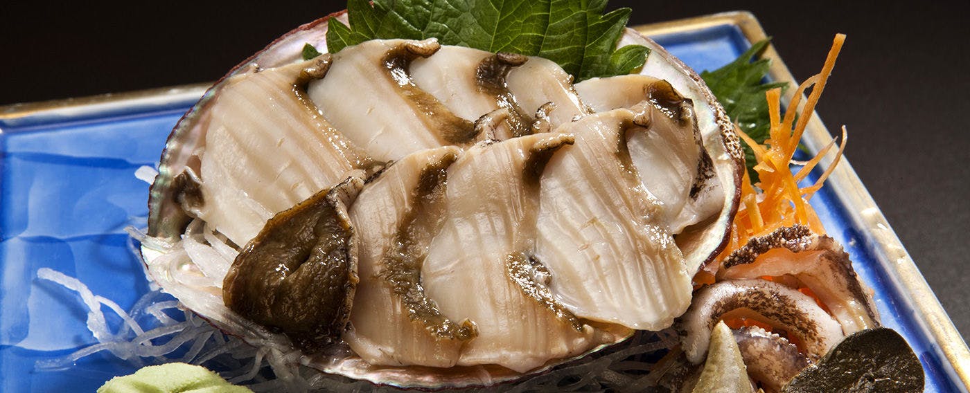 ペットと泊まれる宿　西伊豆　シーガル