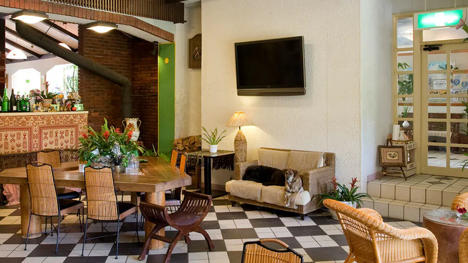 Seagull - Dog Owners' Retreat (Dogs Required)