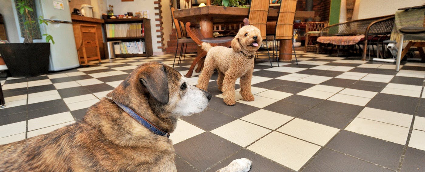 สิ่งอำนวยความสะดวกอื่นๆ