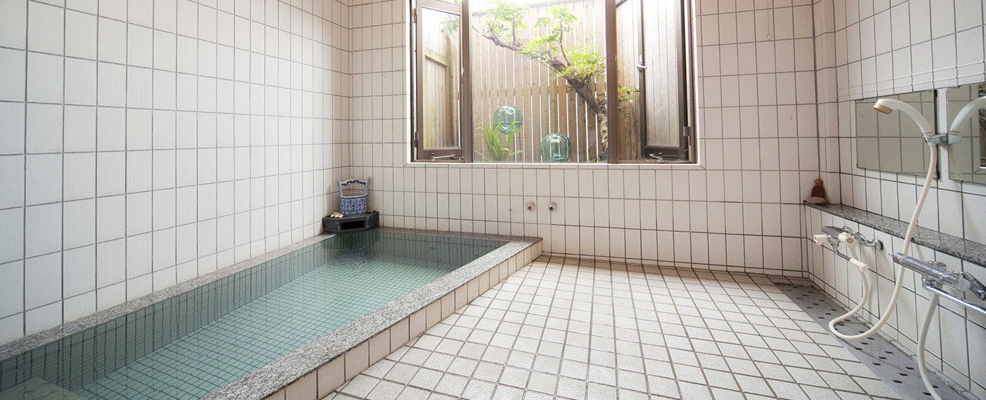 Seagull - Dog Owners' Retreat (Dogs Required)