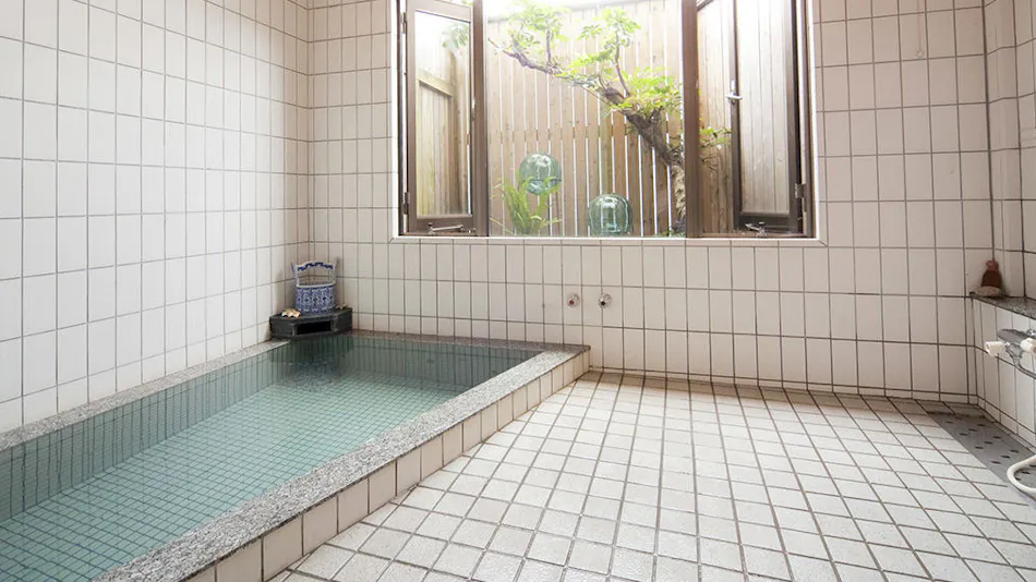 Seagull - Dog Owners' Retreat (Dogs Required)