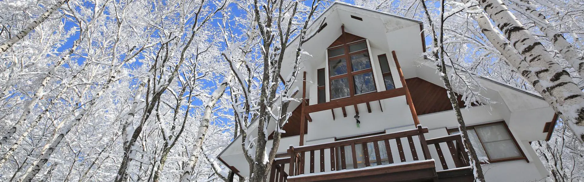 わんわんパラダイス 蓼科(旧:蓼科わんわんパラダイス コテージ)